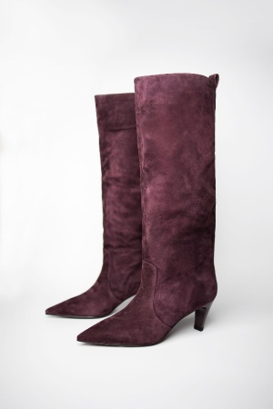 GRACIANA - Демисезон  - Сапоги