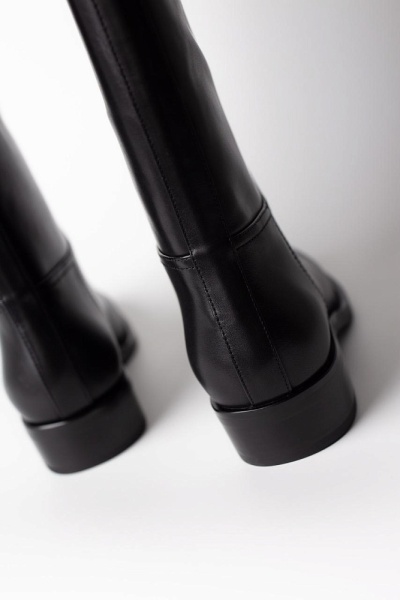 Graciana - Демисезон - Сапоги